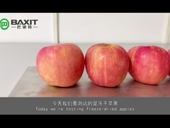 ZLGJ-50 Стандартный силиконовый оливковый пилотный лабораторный морозильный сушильщик