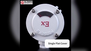 GLO-AH Взрывозащищенная распределительная коробка