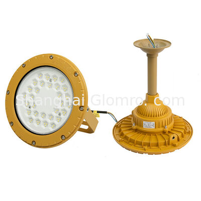 High-quality Explosion-Proof Blast-proof Waterproof 50-300W Round LED Explosion-proof Flood Light IP66 Exde MB IICT6 GB