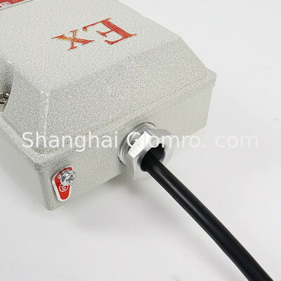 0.6m/1.2m 36-100WStandard Rated Voltage Explosion Proof Control Light Long Term Stable Operation Lamp