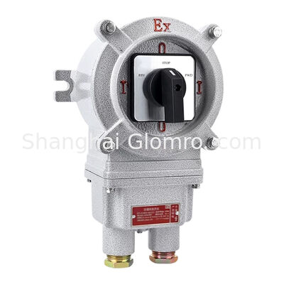Dual Rated Ex Iic & Iiic 32A Explosion Proof Transfer Switch IP66 Splash Proof Controller for Gas & Dust Hazardous Zones
