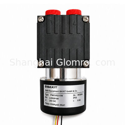 PM23523‑86 BAXIT Diaphragm Gas Sampling Pump DC24V Energy‑Saving Corrosion‑Resistant Self‑priming Vacuum Pump for Industrial Sample Gas Extraction