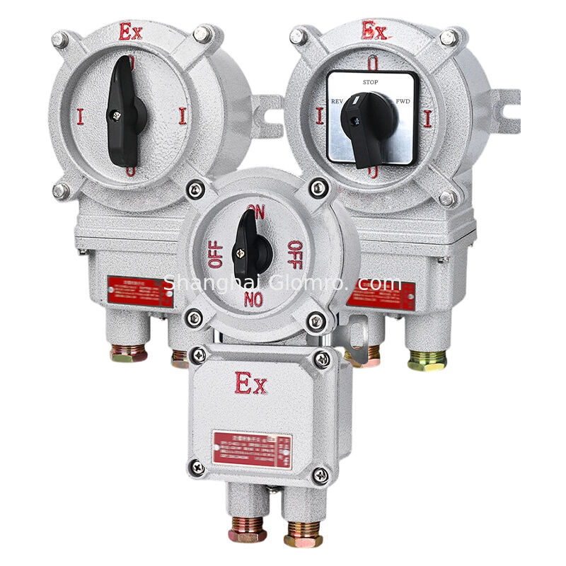 IP66 Ex Iic Explosion-Proof Transfer Switch 10A-32A 220V/380V 360 Rotation Aluminum Alloy Hazardous Area Control Switch
